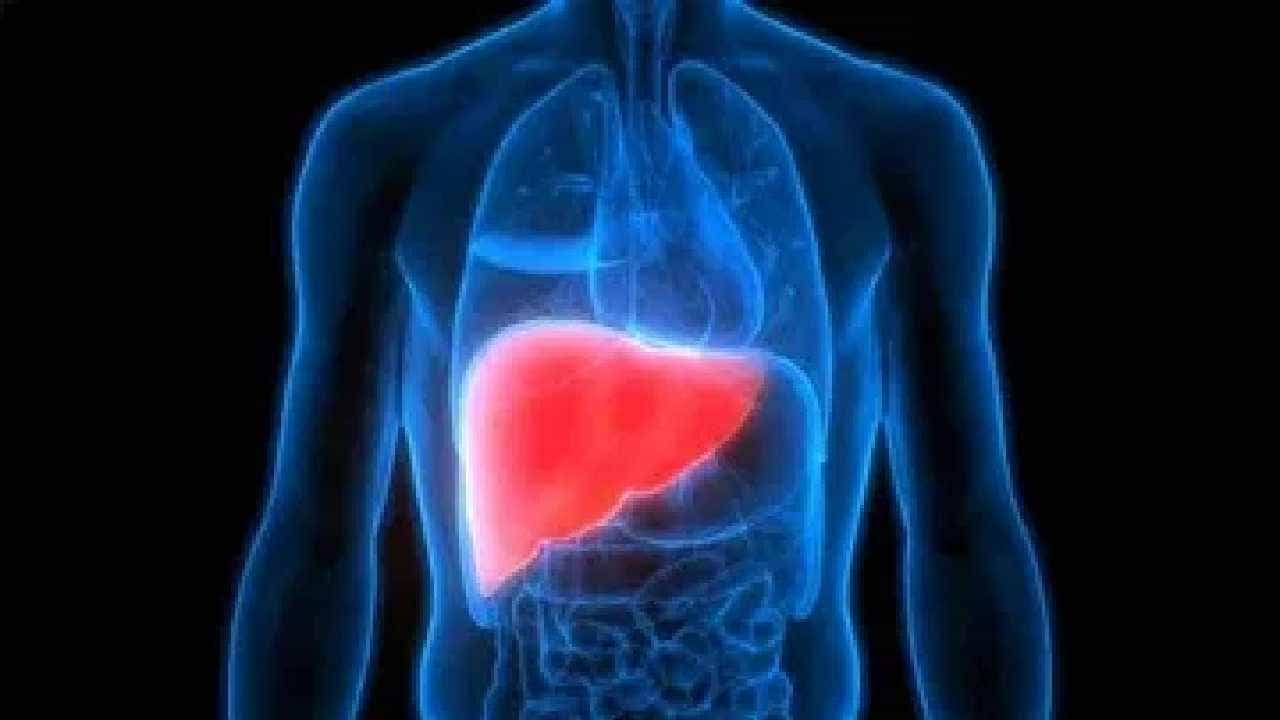 Liver Cancer: ಲಿವರ್ ಕ್ಯಾನ್ಸರ್​ನ ವಿಧಗಳು, ಲಕ್ಷಣಗಳು, ಚಿಕಿತ್ಸೆಗಳ ವಿವರ ಇಲ್ಲಿದೆ