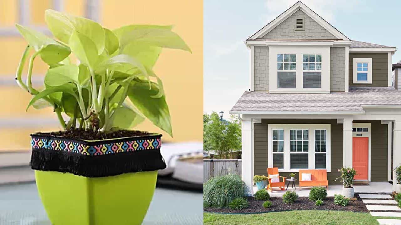 Vastu Tips for Money: ಹೆಚ್ಚು ಹಣ ಗಳಿಸಲು, ಕನಸಿನ ಉದ್ಯೋಗ ನಿಮ್ಮದಾಗಿಸಿಕೊಳ್ಳಲು ಈ ವಾಸ್ತು ಟಿಪ್ಸ್ ಅನುಸರಿಸಿ Vastu Tips for Money: ಹೆಚ್ಚು ಹಣ ಗಳಿಸಲು, ಕನಸಿನ ಉದ್ಯೋಗ ನಿಮ್ಮದಾಗಿಸಿಕೊಳ್ಳಲು ಈ ವಾಸ್ತು ಟಿಪ್ಸ್ ಅನುಸರಿಸಿ