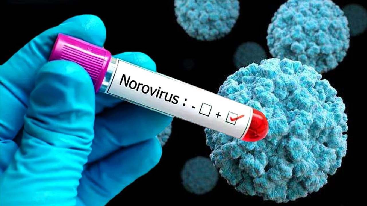 Norovirus Disease: ಕೇರಳದ ಇಬ್ಬರು ವಿದ್ಯಾರ್ಥಿಗಳಲ್ಲಿ ನೊರೊವೈರಸ್ ಪತ್ತೆ; ಈ ಸೋಂಕಿನ ಲಕ್ಷಣ, ಅಪಾಯಗಳೇನು? Norovirus Disease: ಕೇರಳದ ಇಬ್ಬರು ವಿದ್ಯಾರ್ಥಿಗಳಲ್ಲಿ ನೊರೊವೈರಸ್ ಪತ್ತೆ; ಈ ಸೋಂಕಿನ ಲಕ್ಷಣ, ಅಪಾಯಗಳೇನು?