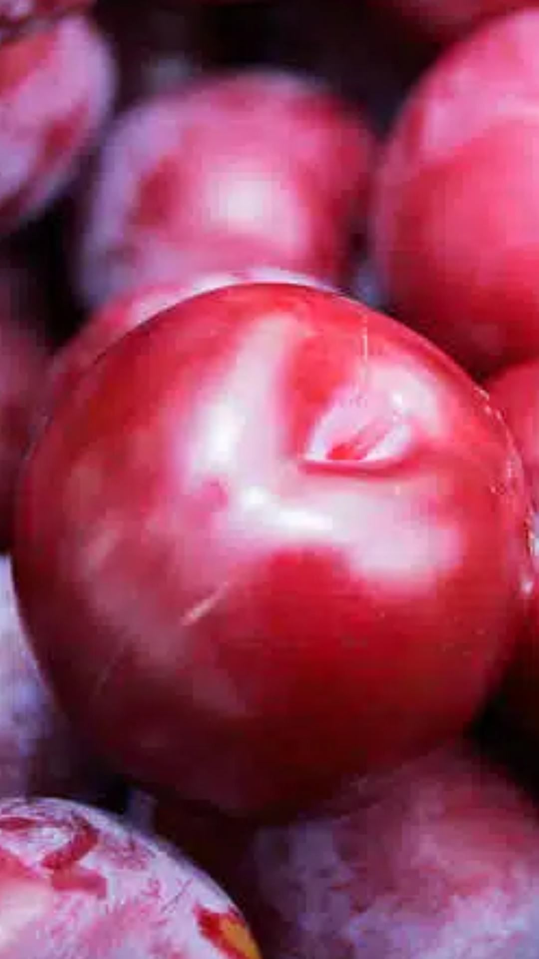 plum-fruit 3