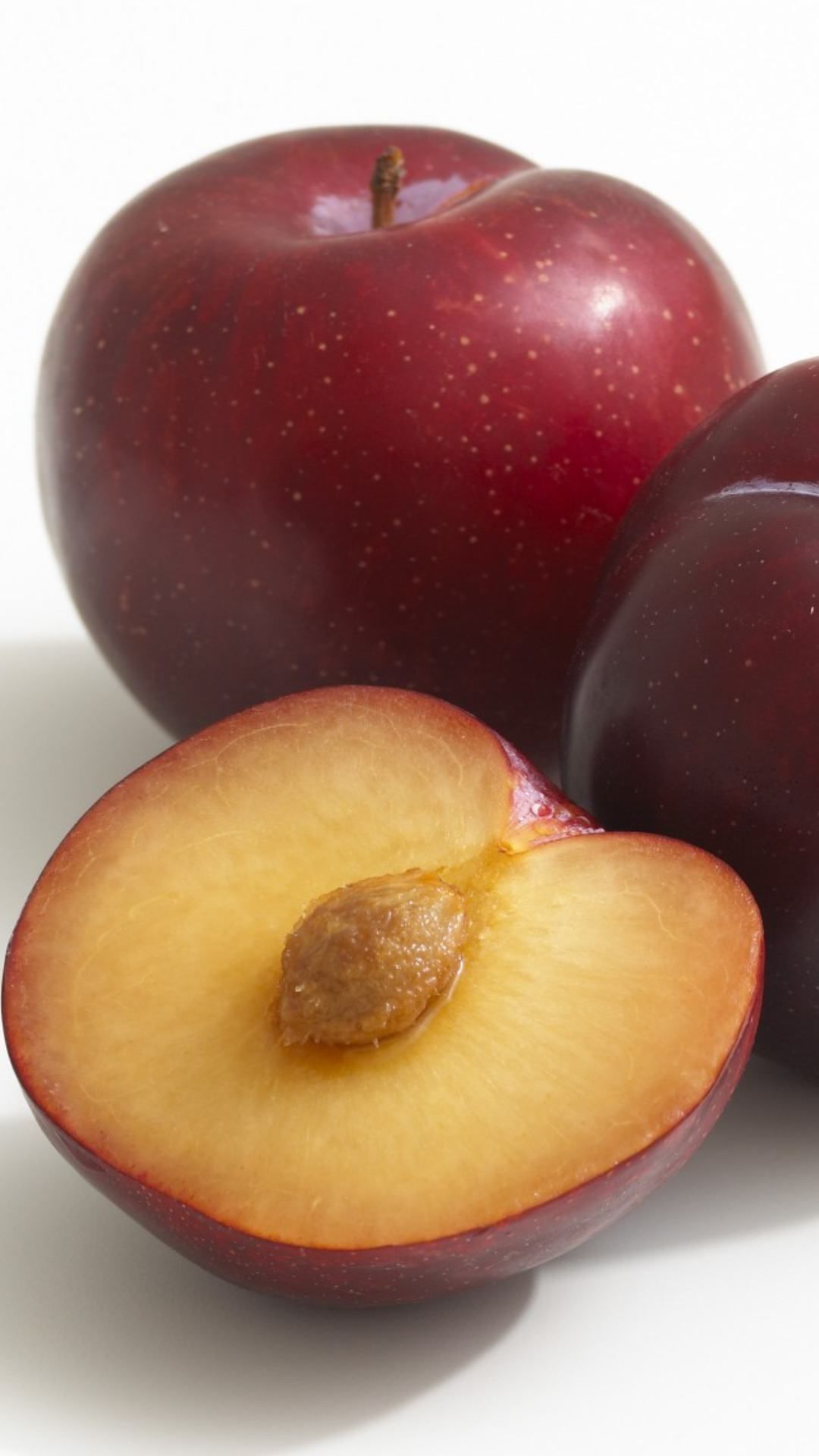 plum-fruit 4