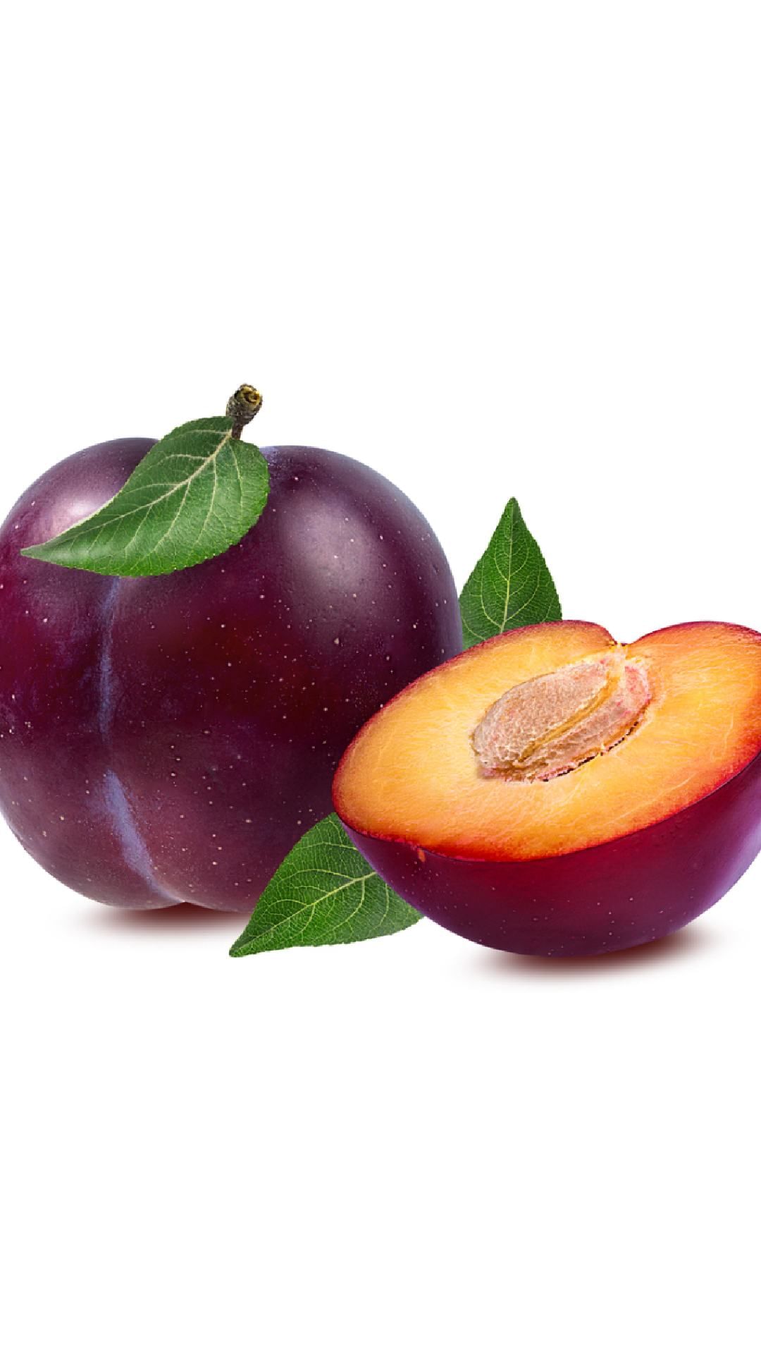 plum-fruit 5