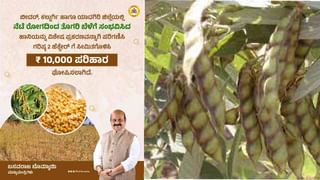 ಯಾದಗಿರಿ: ಕನಸಲ್ಲಿ ಸಾಯಿಬಾಬಾ ಬಂದ ಕಾರಣಕ್ಕೆ ದೇವಸ್ಥಾನವನ್ನೇ ನಿರ್ಮಿಸಿ ಸಾಮೂಹಿಕ ವಿವಾಹ ನಡೆಸಿದ ಉದ್ಯಮಿ