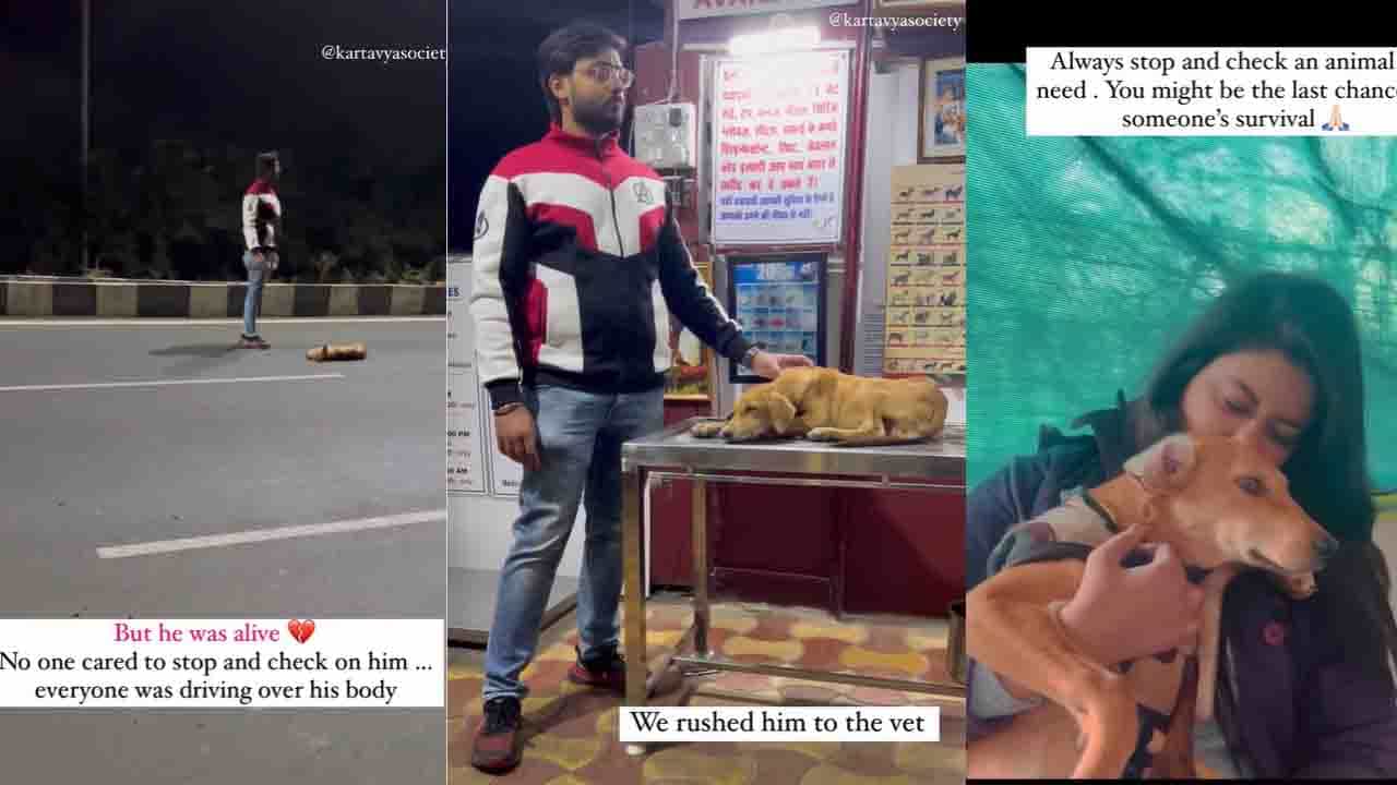 ರಸ್ತೆಯಲ್ಲಿ ಮೂರ್ಛೆ ಹೋಗಿದ್ದ ನಾಯಿಯನ್ನು ರಕ್ಷಿಸಿದ ವಿಡಿಯೋ ವೈರಲ್ ರಸ್ತೆಯಲ್ಲಿ ಮೂರ್ಛೆ ಹೋಗಿದ್ದ ನಾಯಿಯನ್ನು ರಕ್ಷಿಸಿದ ವಿಡಿಯೋ ವೈರಲ್