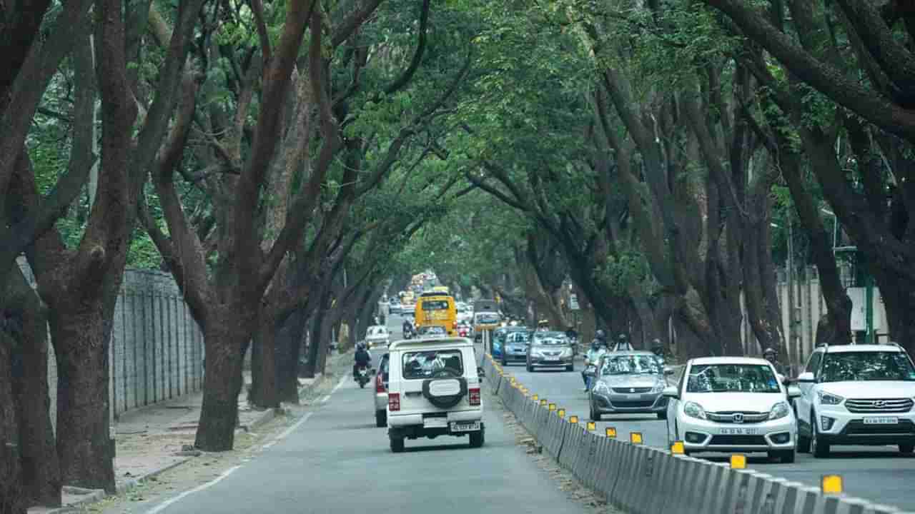 Sankey Tank Flyover: ಸ್ಯಾಂಕಿ ಕೆರೆ ಫ್ಲೈಓವರ್ ನಿರ್ಮಾಣಕ್ಕೆ ಪರ-ವಿರೋಧ ಅಭಿಪ್ರಾಯ; ಟೆಂಡರ್​ನಲ್ಲಿ ಕೇವಲ ಇಬ್ಬರು ಬಿಡ್ಡರ್ ಭಾಗಿ