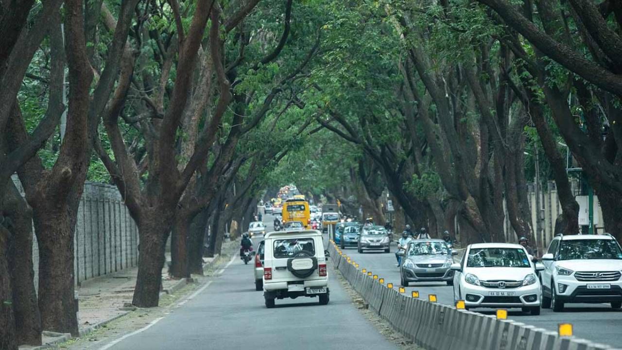 Sankey Tank Flyover: ಸ್ಯಾಂಕಿ ಕೆರೆ ಫ್ಲೈಓವರ್ ನಿರ್ಮಾಣಕ್ಕೆ ಪರ-ವಿರೋಧ ಅಭಿಪ್ರಾಯ; ಟೆಂಡರ್ನಲ್ಲಿ ಕೇವಲ ಇಬ್ಬರು ಬಿಡ್ಡರ್ ಭಾಗಿ
