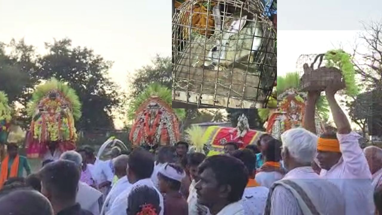 Rabbit Prediction: ಸಂಕ್ರಾಂತಿಗೆ ಮೊಲ ನುಡಿಯಿತು ಭವಿಷ್ಯ, ಇದು ತುಮಕೂರು ಸೀಗೆಬಾಗಿ ಗ್ರಾಮದ ಪವಾಡ! Rabbit Prediction: ಸಂಕ್ರಾಂತಿಗೆ ಮೊಲ ನುಡಿಯಿತು ಭವಿಷ್ಯ, ಇದು ತುಮಕೂರು ಸೀಗೆಬಾಗಿ ಗ್ರಾಮದ ಪವಾಡ!