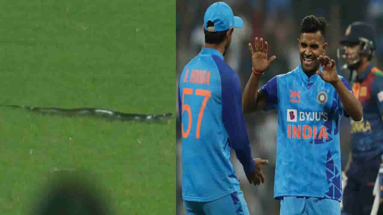 IND vs SL: ಭಾರತ- ಲಂಕಾ ಪಂದ್ಯಕ್ಕೆ ಹಾವುಗಳ ಕಾಟ..! ಎನ್ಜಿಒ ಮೊರೆ ಹೋದ ಎಸಿಎ