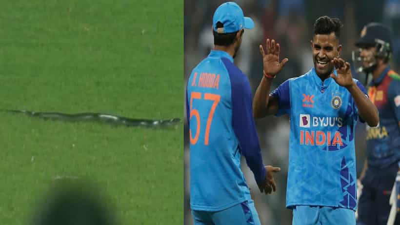 IND vs SL: ಭಾರತ- ಲಂಕಾ ಪಂದ್ಯಕ್ಕೆ ಹಾವುಗಳ ಕಾಟ..! ಎನ್ಜಿಒ ಮೊರೆ ಹೋದ ಎಸಿಎ