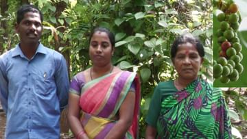Woman Farmer: A woman who left her profession as a teacher and married a young farmer, grew black gold in the drought-prone plains of Chamarajanagar and became a woman.
