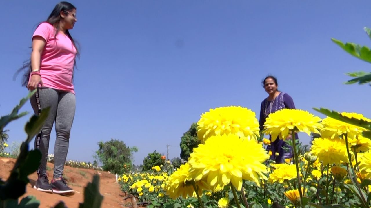 Selfie: ಚಿಕ್ಕಬಳ್ಳಾಪುರ ಹೆದ್ದಾರಿ ಹೂತೋಟದಲ್ಲಿ ಯುವತಿಯರ ಸೇಲ್ಫಿ-ರಂಗಿನಾಟ, ಯುವತಿಯರಿಗೆ ಚೆಲ್ಲಾಟ ರೈತರಿಗೆ ಪೀಕಲಾಟ!