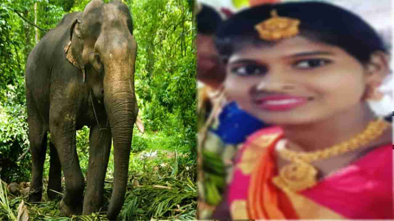 ಮಂಗಳೂರು: ಕಾಡಾನೆ ದಾಳಿಗೆ ಯುವತಿ ಸಹಿತ ಇಬ್ಬರು ಸಾವು; ಮೃತದೇಹ ಇಟ್ಟು ಗ್ರಾಮಸ್ಥರ ಪ್ರತಿಭಟನೆ