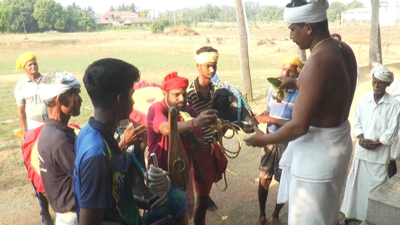 ವಿಶೇಷವಾಗಿ ಕಟಪಾಡಿಯ ಕಂಬಳದಲ್ಲಿ ಇಲ್ಲಿನ ದೈವಗಳಿಗೆ ಮೊದಲ ಸೇವೆ ನಡೆದ ನಂತರ ಕೋಣಗಳು ಗದ್ದೆಗೆ ಇಳಿಯುವುದು ಸಂಪ್ರದಾಯ. ಇಂದಿಗೂ ಸಂಪ್ರದಾಯಕ್ಕೆ ಚ್ಯುತಿ ಬಾರದಂತೆ ಕ್ರೀಡೆಯನ್ನು ನಡೆಸಿಕೊಂಡು ಬರಲಾಗುತ್ತಿದೆ.