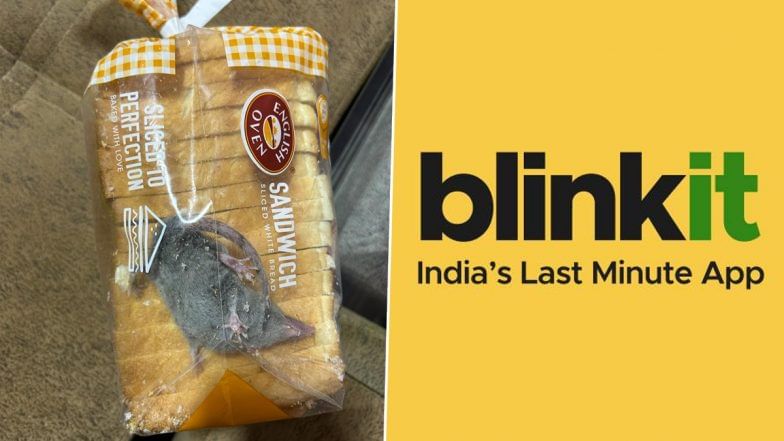 Blinkit: ಬ್ಲಿಂಕ್​ಇಟ್​ನಿಂದ ಡೆಲಿವರಿ ಆದ ಬ್ರೆಡ್ ಪ್ಯಾಕೆಟ್​ನಲ್ಲಿ ಸತ್ತ ಇಲಿ: ಕಸ್ಟಮರ್ ಸಪೋರ್ಟ್ ಕೊಟ್ಟ ಉತ್ತರ ಏನು ಗೊತ್ತಾ?