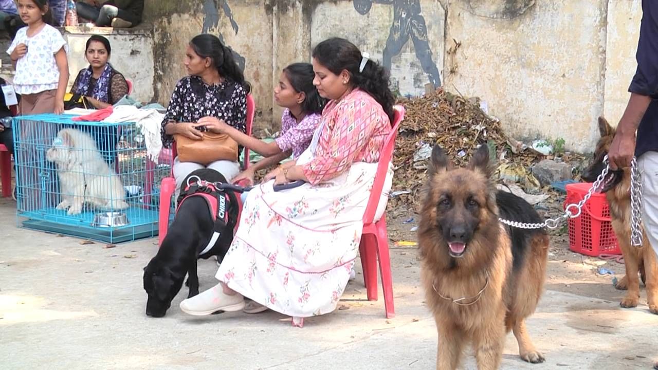 ಹೆಚ್ಚಾಗಿ ಯುವಕರು ಇಂತಹ ಶ್ವಾನಗಳನ್ನ ತಯಾರಿಸಿ ಸ್ಪರ್ಧೆಗೆ ತರುವುದನ್ನ ನೋಡಿದ್ದೇವೆ. ಆದರೆ ಈಗ  ಯುವತಿಯರಲ್ಲಿಯೂ ಶ್ವಾನ ಪ್ರೀತಿ ಜಾಸ್ತಿಯಾಗಿದೆ. ಇದಕ್ಕೆ ಸಾಕ್ಷಿ ಎಂಬಂತೆ ಇಂದು ಸ್ಪರ್ಧೆಯಲ್ಲಿ ನಾಯಿಗಳನ್ನ ತಂದ ಯುವತಿಯರು ಪ್ರಶಸ್ತಿಗಳನ್ನ ಬಾಚಿಕೊಂಡರು.
