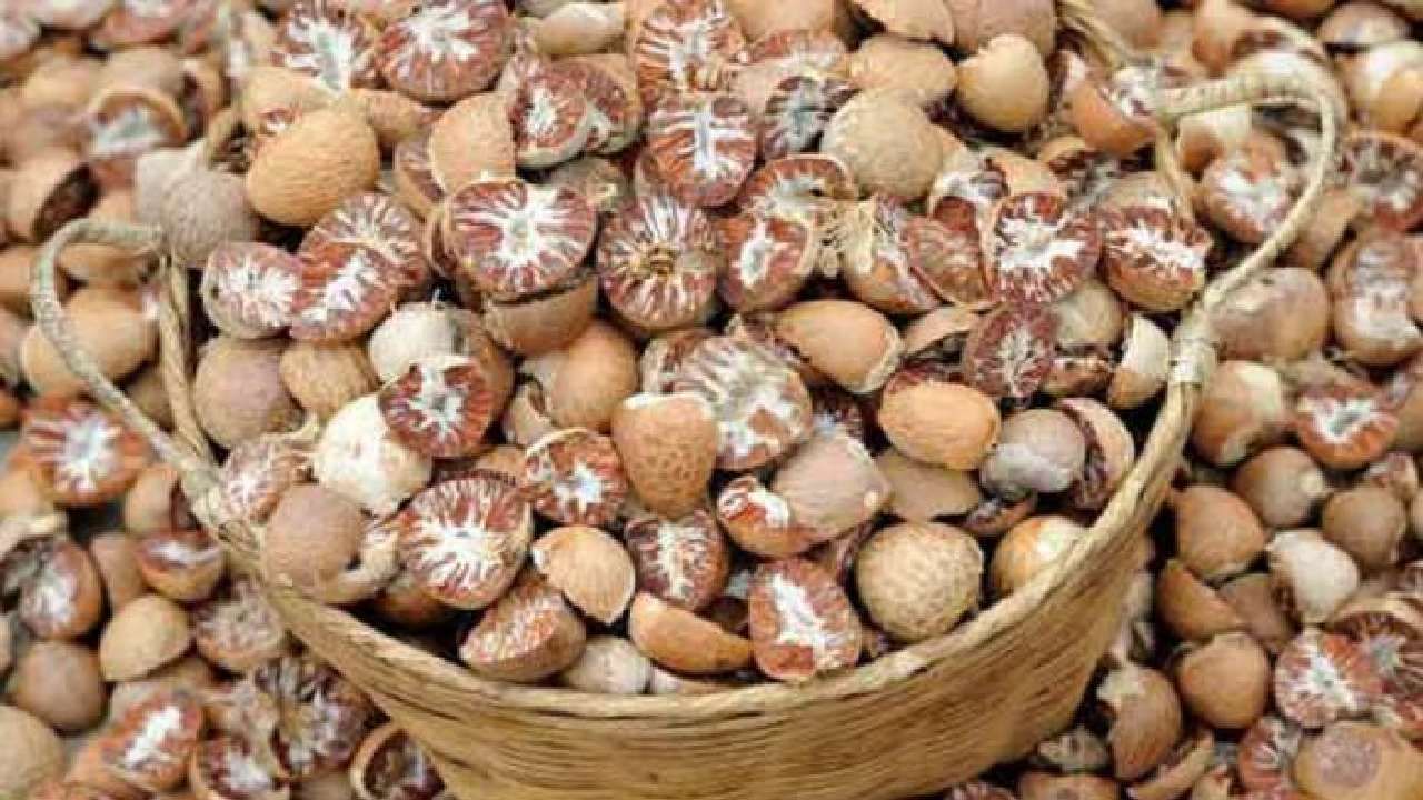 Areca Nut Price: ಇಂದಿನ ಅಡಿಕೆ ಮಾರುಕಟ್ಟೆ ಧಾರಣೆ: ಎಲ್ಲೆಲ್ಲಿ ಅಡಿಕೆ ಧಾರಣೆ ಎಷ್ಟಿದೆ: ಇಲ್ಲಿದೆ ಮಾಹಿತಿ