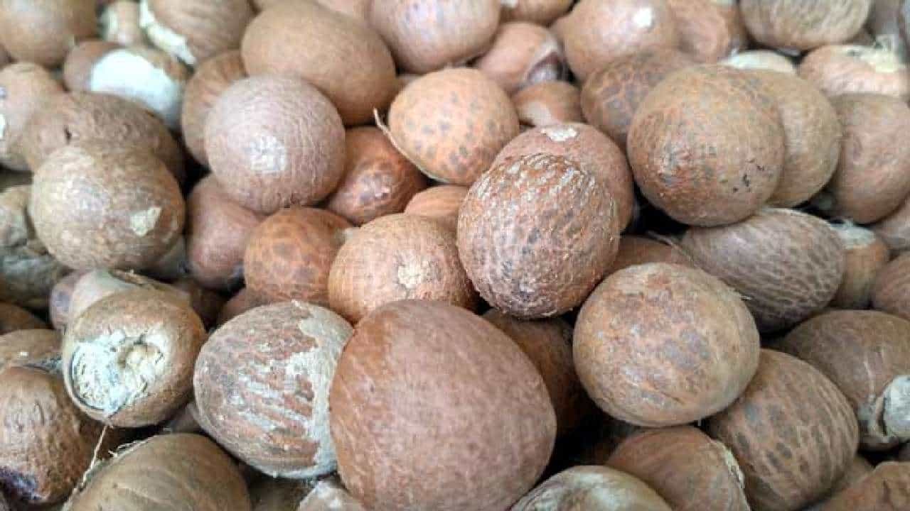 Areca Nut Price: ಇಂದಿನ ಅಡಿಕೆ ಮಾರುಕಟ್ಟೆ ಧಾರಣೆ: ಎಲ್ಲೆಲ್ಲಿ ಅಡಿಕೆ ಧಾರಣೆ ಎಷ್ಟಿದೆ: ಇಲ್ಲಿದೆ ಮಾಹಿತಿ Areca Nut Price: ಇಂದಿನ ಅಡಿಕೆ ಮಾರುಕಟ್ಟೆ ಧಾರಣೆ: ಎಲ್ಲೆಲ್ಲಿ ಅಡಿಕೆ ಧಾರಣೆ ಎಷ್ಟಿದೆ: ಇಲ್ಲಿದೆ ಮಾಹಿತಿ