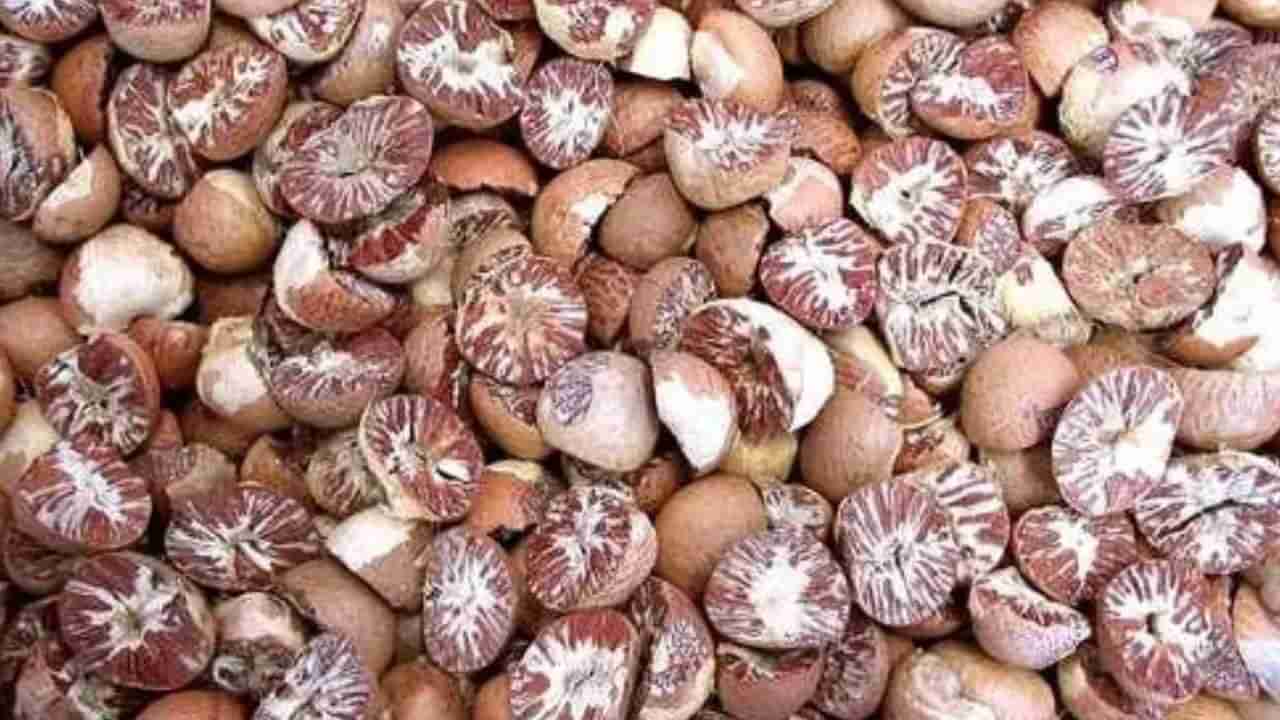 Areca Nut Price: ಇಂದಿನ ಅಡಕೆ ಮಾರುಕಟ್ಟೆ ಧಾರಣೆ: ಎಲ್ಲೆಲ್ಲಿ ಅಡಕೆ ಧಾರಣೆ ಎಷ್ಟಿದೆ: ಇಲ್ಲಿದೆ ಮಾಹಿತಿ