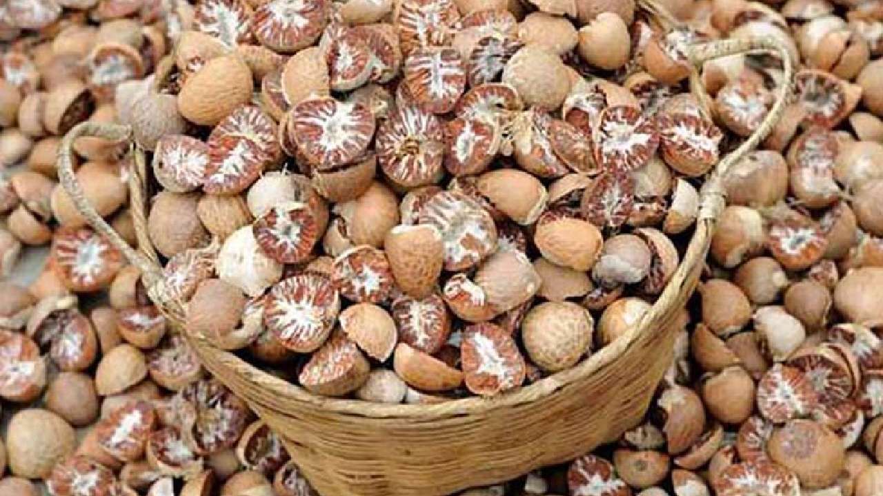 Areca Nut Price: ಇಂದಿನ ಅಡಕೆ ಮಾರುಕಟ್ಟೆ ಧಾರಣೆ; ಸಾಗರ, ಸಿದ್ದರಾಪು, ಯಲ್ಲಾಪುರ ಸೇರಿ ವಿವಿಧ ಮಾರುಕಟ್ಟೆ ಧಾರಣೆ ಇಲ್ಲಿದೆ