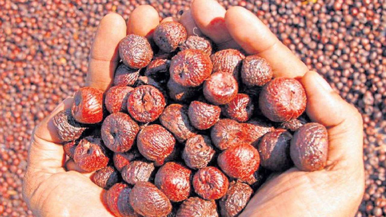 ಅಡಕೆ ಧಾರಣೆ 20 ಫೆಬ್ರವರಿ 2023: ಬಂಟ್ವಾಳ, ಪುತ್ತೂರು, ಸಾಗರ, ಶಿವಮೊಗ್ಗ ಸೇರಿ ವಿವಿಧ ಮಾರುಕಟ್ಟೆ ಧಾರಣೆ ಇಲ್ಲಿದೆ ಅಡಕೆ ಧಾರಣೆ 20 ಫೆಬ್ರವರಿ 2023: ಬಂಟ್ವಾಳ, ಪುತ್ತೂರು, ಸಾಗರ, ಶಿವಮೊಗ್ಗ ಸೇರಿ ವಿವಿಧ ಮಾರುಕಟ್ಟೆ ಧಾರಣೆ ಇಲ್ಲಿದೆ