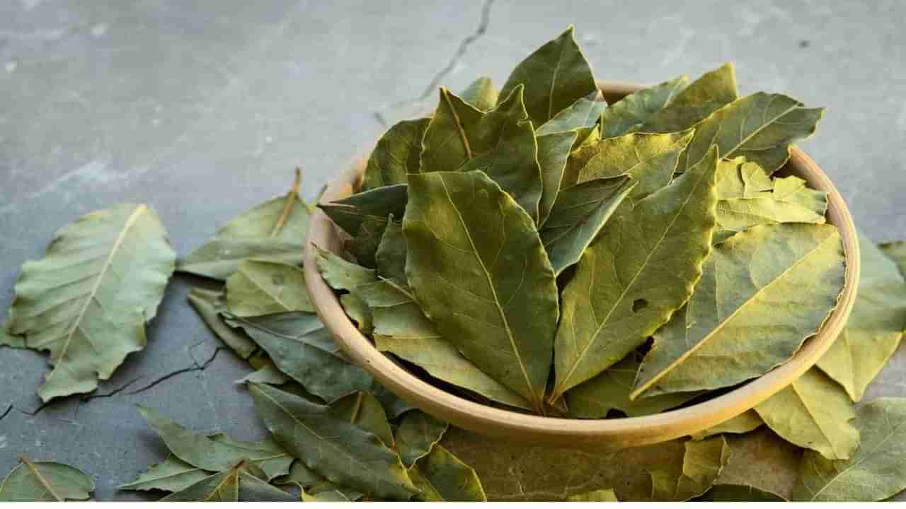 Bay Leaves Health Benefits: ಪ್ರತಿ ಮಸಾಲೆಗೆ ಪಲಾವ್ ಎಲೆ ಹಾಕಿ, ಯಾಕೆ ಗೊತ್ತಾ? ಇಲ್ಲಿದೆ ನೋಡಿ ಆರೋಗ್ಯದ ಗುಟ್ಟು