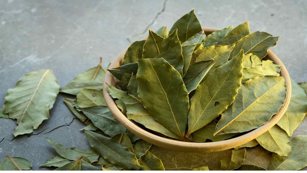 Bay Leaves Health Benefits: ಪ್ರತಿ ಮಸಾಲೆಗೆ ಪಲಾವ್ ಎಲೆ ಹಾಕಿ, ಯಾಕೆ ಗೊತ್ತಾ? ಇಲ್ಲಿದೆ ನೋಡಿ ಆರೋಗ್ಯದ ಗುಟ್ಟು Bay Leaves Health Benefits: ಪ್ರತಿ ಮಸಾಲೆಗೆ ಪಲಾವ್ ಎಲೆ ಹಾಕಿ, ಯಾಕೆ ಗೊತ್ತಾ? ಇಲ್ಲಿದೆ ನೋಡಿ ಆರೋಗ್ಯದ ಗುಟ್ಟು