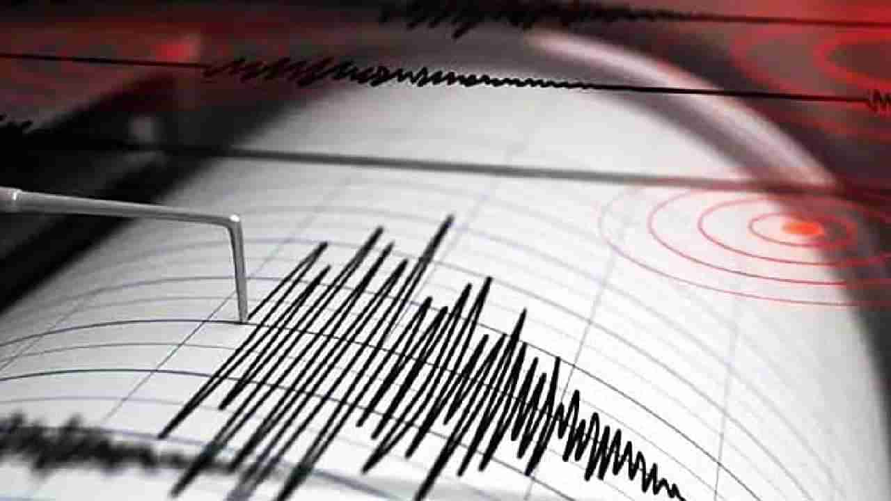 Earthquake: ಪಪುವಾ ನ್ಯೂ ಗಿನಿಯಾ ದ್ವೀಪ ರಾಷ್ಟ್ರದಲ್ಲಿ 6.5ರಷ್ಟು ತೀರ್ವತೆಯಲ್ಲಿ ಕಂಪಿಸಿದ ಭೂಮಿ