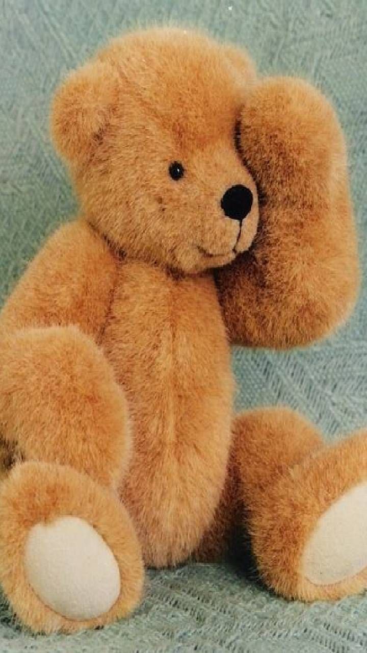 Happy Teddy Day 2023 (3)