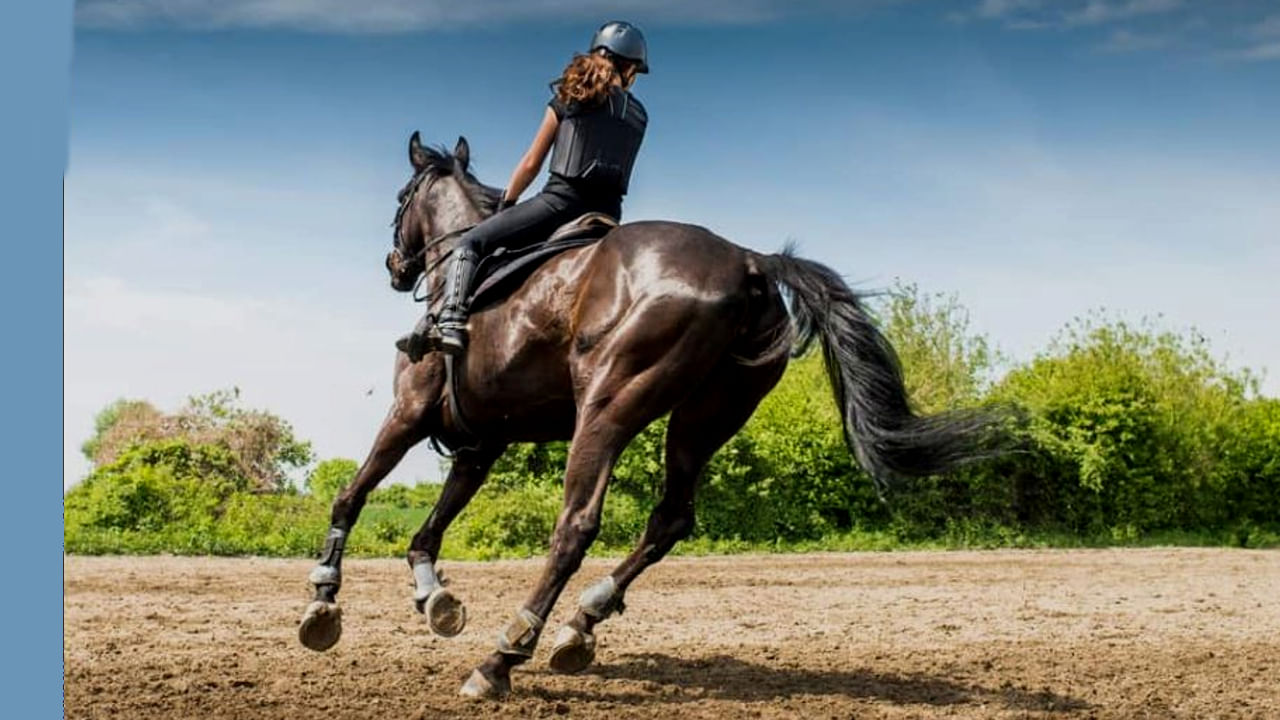 Horse riding in Dream ಕನಸಿನಲ್ಲಿ ಕುದುರೆ ಸವಾರಿ.. ನೀವು ಕನಸಿನಲ್ಲಿ ಕುದುರೆಯ ಮೇಲೆ ಸವಾರಿ ಮಾಡುವುದನ್ನು ಮತ್ತು ಎಲ್ಲಿಯಾದರೂ ದೂರದ ಪ್ರಯಾಣವನ್ನು ನೋಡಿದರೆ, ಅದನ್ನು ಮಂಗಳಕರವೆಂದು ಪರಿಗಣಿಸಲಾಗುತ್ತದೆ. ಕನಸಿನ ವಿಜ್ಞಾನದ ಪ್ರಕಾರ, ನೀವು ಶೀಘ್ರದಲ್ಲೇ ಸಂಪತ್ತು ಮತ್ತು ಗೌರವವನ್ನು ಪಡೆಯುತ್ತೀರಿ ಎಂದರ್ಥ. ಒಳ್ಳೆಯ ಕೆಲಸದ ಆಫರ್ ಬರಬಹುದು. ಅನಾದಿ ಕಾಲದಿಂದಲೂ ಬರಬೇಕಾದ ಹಣ ಸಿಗುವ ಸಾಧ್ಯತೆ ಇದೆ. ವ್ಯಾಪಾರದಲ್ಲಿ ಲಾಭದ ಸೂಚನೆಗಳಿವೆ.