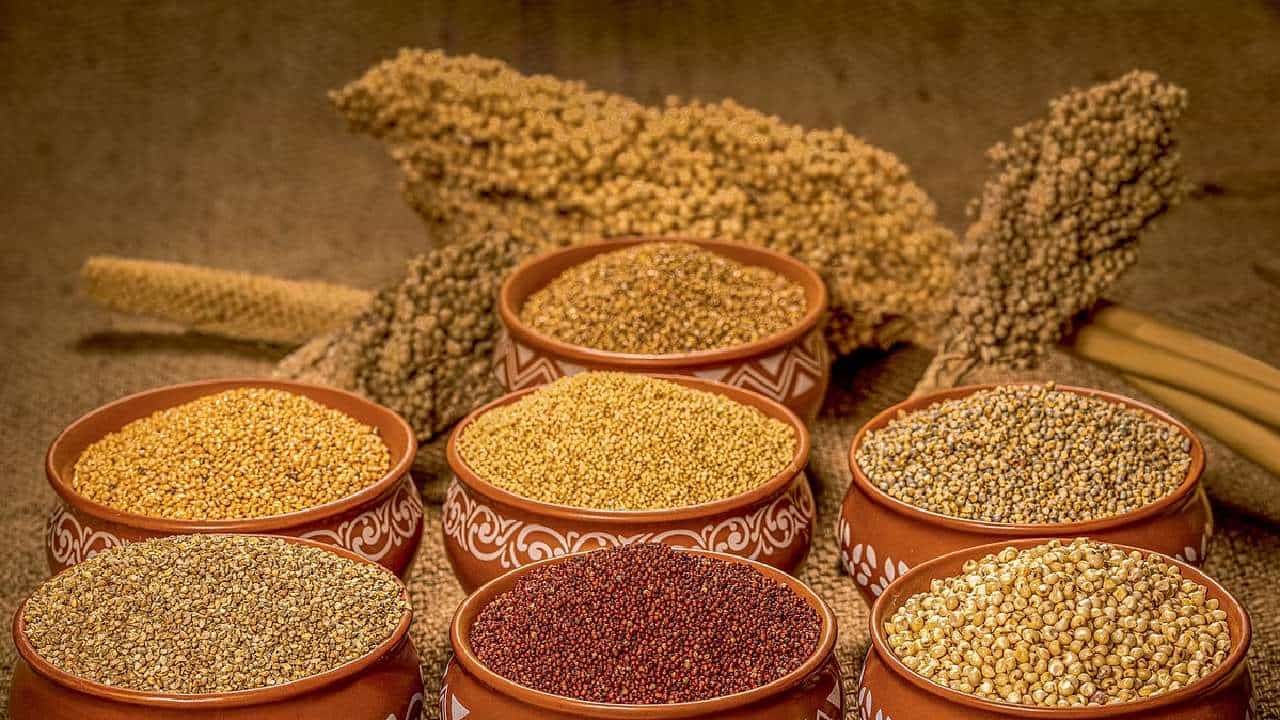 ವಿಶ್ವ ಸಿರಿಧಾನ್ಯಗಳ ವರ್ಷ ಘೋಷಣೆ; ಸಿರಿಧಾನ್ಯ ಆಧಾರಿತ ತಿಂಡಿ, ಪಾನೀಯ ಬಳಸುವಂತೆ ಕರ್ನಾಟಕ ಸರ್ಕಾರದಿಂದ ಸುತ್ತೋಲೆ
