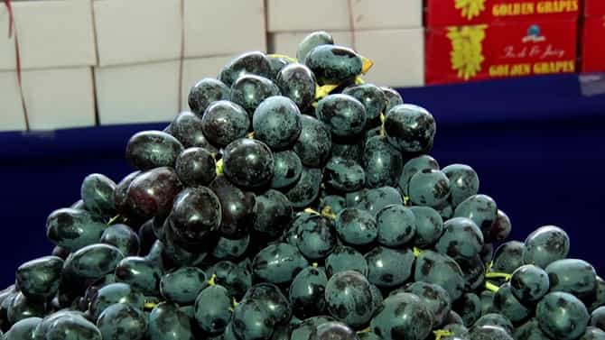 Lalbagh Drakshi Mela: ಹಾಪ್ ಕಾಮ್ಸ್ ಗಳಲ್ಲಿ ದ್ರಾಕ್ಷಿ, ಕಲ್ಲಂಗಡಿ ಮೇಳ; ಶೇ.10ರಷ್ಟು ರಿಯಾಯಿತಿ