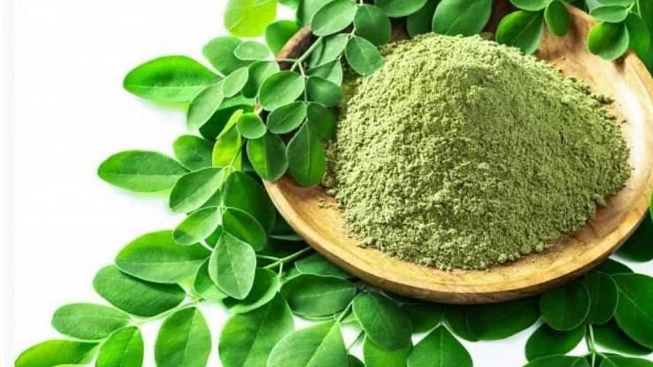 Moringa For Diabetes: ಮಧುಮೇಹಿಗಳು ನುಗ್ಗೆಸೊಪ್ಪಿನಿಂದ ಮಾಡಿದ ಪದಾರ್ಥಗಳನ್ನು ಸೇವಿಸುವುದರಿಂದ ಏನೇನು ಆರೋಗ್ಯ ಪ್ರಯೋಜನಗಳಿವೆ? Moringa For Diabetes: ಮಧುಮೇಹಿಗಳು ನುಗ್ಗೆಸೊಪ್ಪಿನಿಂದ ಮಾಡಿದ ಪದಾರ್ಥಗಳನ್ನು ಸೇವಿಸುವುದರಿಂದ ಏನೇನು ಆರೋಗ್ಯ ಪ್ರಯೋಜನಗಳಿವೆ?