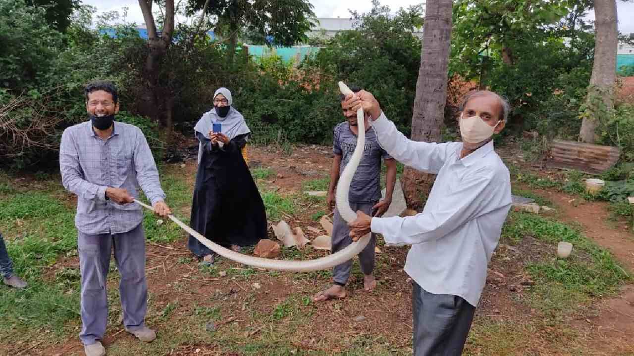 ಸದಾಕಾಲ ಹಾವು ರಕ್ಷಣೆಯಲ್ಲಿ ತೊಡಗಿದ್ದ ಮೋಯಿನ್​ಗೆ ಇಟ್ಟಂಗೂರು ಬಳಿ ಹಾವು ಬಂದಿದೆ ಎಂದು ಕರೆ ಬಂದಿತ್ತು. 