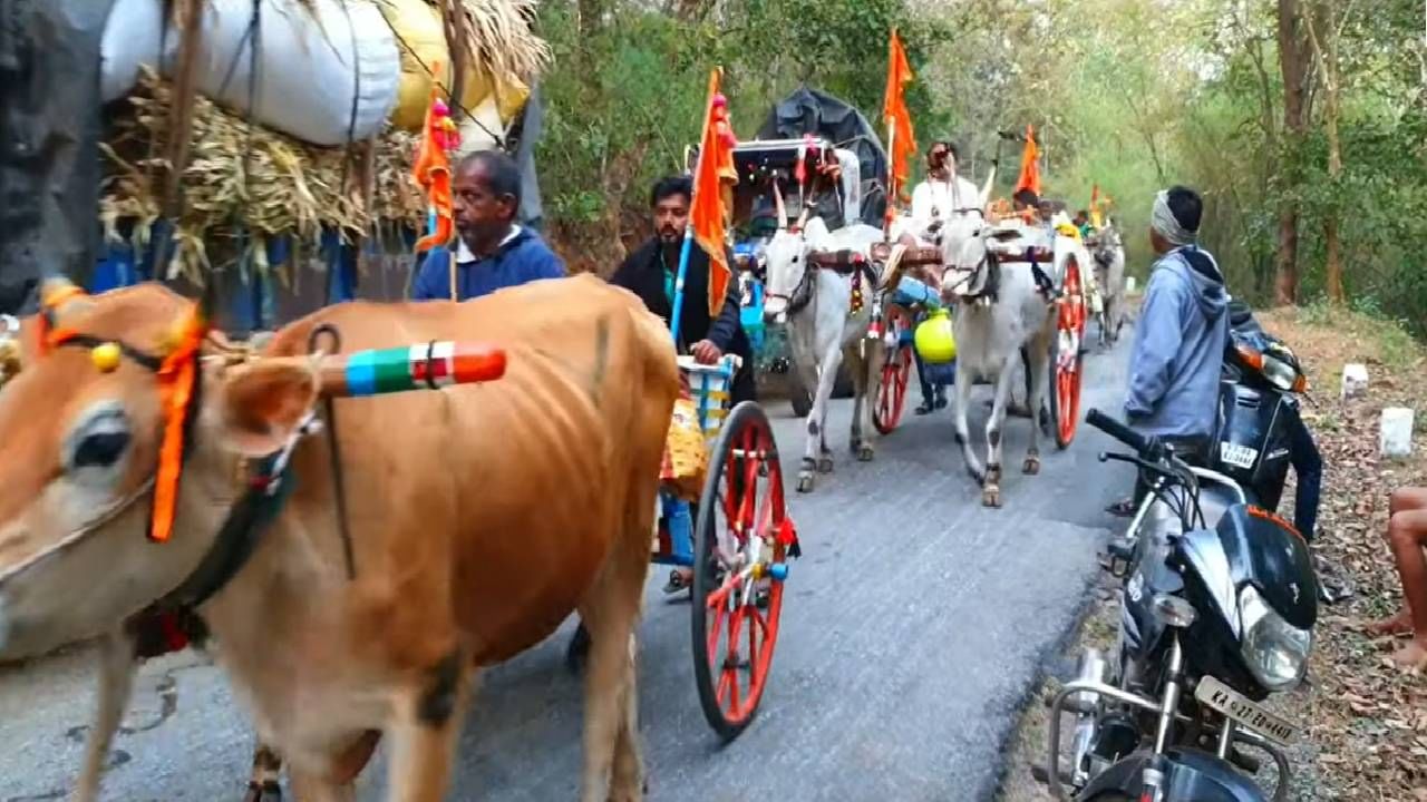 ಉಳವಿ ಜಾತ್ರೆ ಚಕ್ಕಡಿ ಜಾತ್ರೆಯಂತಲೂ ಖ್ಯಾತಿ ಪಡೆದಿದೆ. ನೂರಾರು ಕಿ.ಮೀ.‌ದೂರದಿಂದ ರೈತರು ಚಕ್ಕಡಿಯಲ್ಲಿ ತಾವು ಬೆಳೆದ ಬೆಳೆಗಳ ಒಂದು ಪಾಲನ್ನು ಕ್ಷೇತ್ರಕ್ಕೆ ದಾನವಾಗಿ ನೀಡುವುದಲ್ಲದೇ, ಇಲ್ಲಿಗೆ ಬಂದು ತಮ್ಮ ಜಾನುವಾರುಗಳಿಗೆ ಬಸವಣ್ಣನ ದರ್ಶನ ಮಾಡಿಸ್ತಾರೆ. ಇದರಿಂದ ಬಸವಣ್ಣನ ಶಕ್ತಿ ತುಂಬುತ್ತದೆ ಅನ್ನೋದು ರೈತರ ನಂಬಿಕೆ.