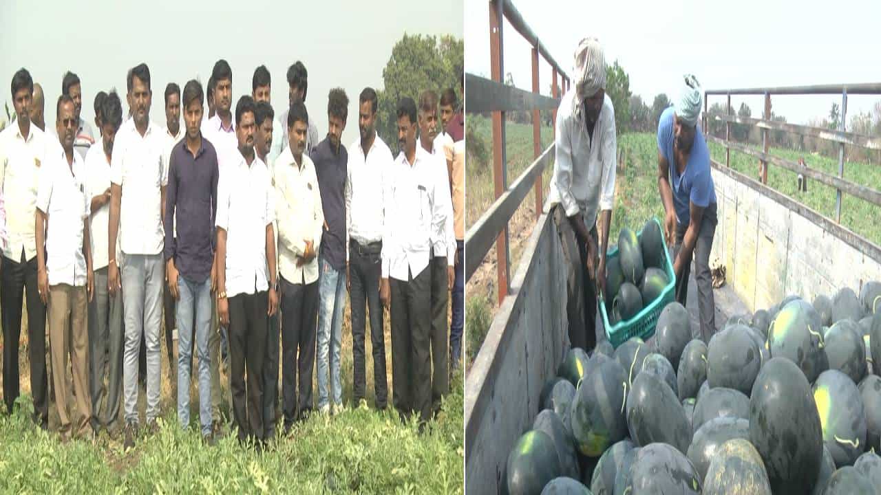 ಬೀದರ್: ಕಲ್ಲಂಗಡಿ ಬೆಳೆದು ಸೈ ಎನಿಸಿಕೊಂಡ ರೈತರು, ಯಾವ ತಳಿ, ಹೇಗೆ ಬೆಳೆದರು ಅಂತೀರಾ? ಈ ಸ್ಟೋರಿ ನೋಡಿ ಬೀದರ್: ಕಲ್ಲಂಗಡಿ ಬೆಳೆದು ಸೈ ಎನಿಸಿಕೊಂಡ ರೈತರು, ಯಾವ ತಳಿ, ಹೇಗೆ ಬೆಳೆದರು ಅಂತೀರಾ? ಈ ಸ್ಟೋರಿ ನೋಡಿ