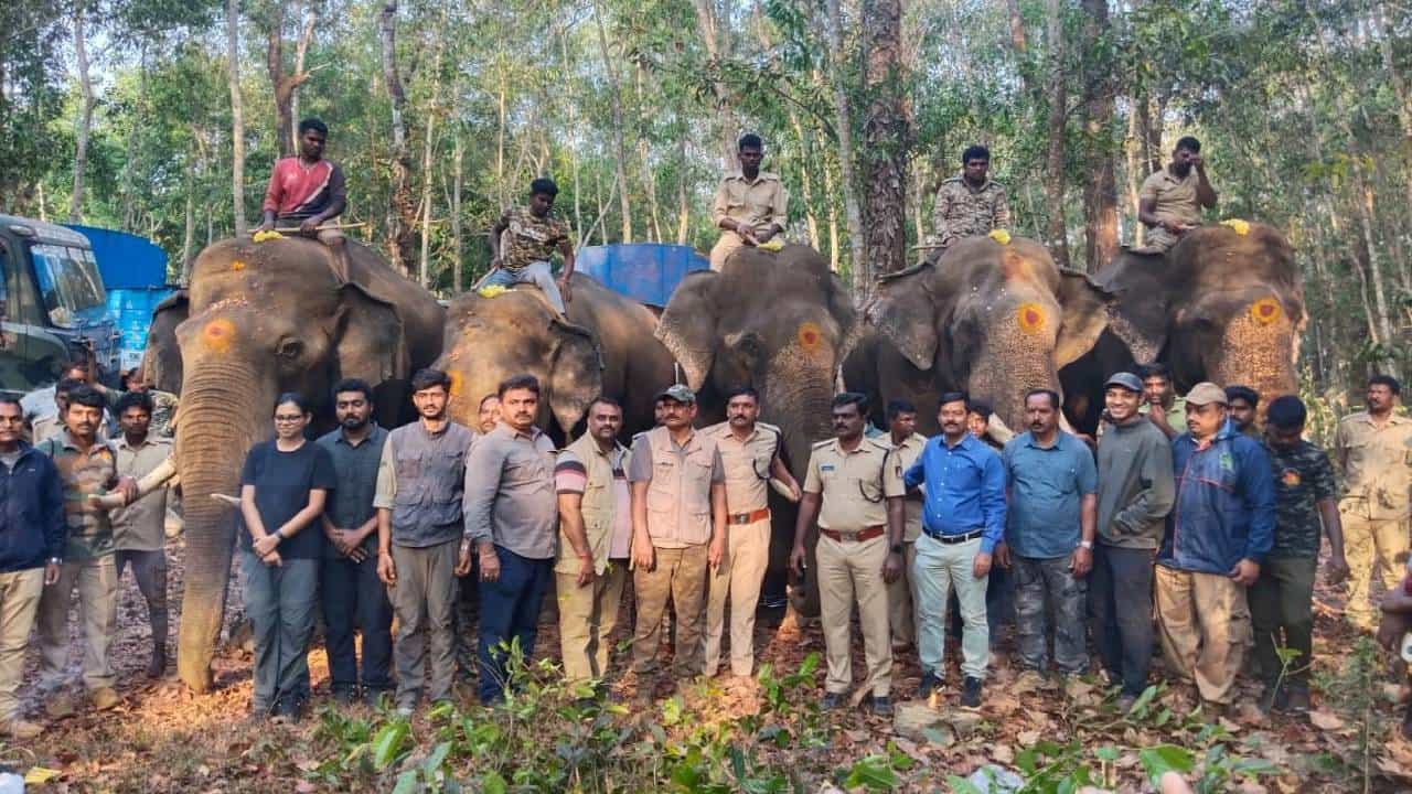ಮಂಗಳೂರು: ಇಬ್ಬರನ್ನು ಬಲಿಪಡೆದ ಕಾಡಾನೆ ಸೆರೆಗೆ 'ಆಪರೇಷನ್ ಎಲಿಫೆಂಟ್' ಕಾರ್ಯಾಚರಣೆ ಶುರು