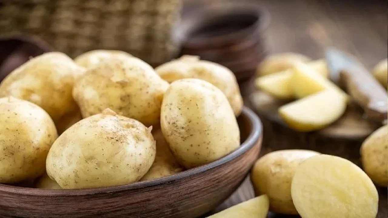 Potato Peel Benefits: ಆಲೂಗಡ್ಡೆಯ ಸಿಪ್ಪೆಯಲ್ಲಿ ಆರೋಗ್ಯ ನಿಧಿಯೇ ಅಡಗಿದೆ, ಸೇವನೆ ಹೇಗೆ ಇಲ್ಲಿದೆ ಮಾಹಿತಿ Potato Peel Benefits: ಆಲೂಗಡ್ಡೆಯ ಸಿಪ್ಪೆಯಲ್ಲಿ ಆರೋಗ್ಯ ನಿಧಿಯೇ ಅಡಗಿದೆ, ಸೇವನೆ ಹೇಗೆ ಇಲ್ಲಿದೆ ಮಾಹಿತಿ