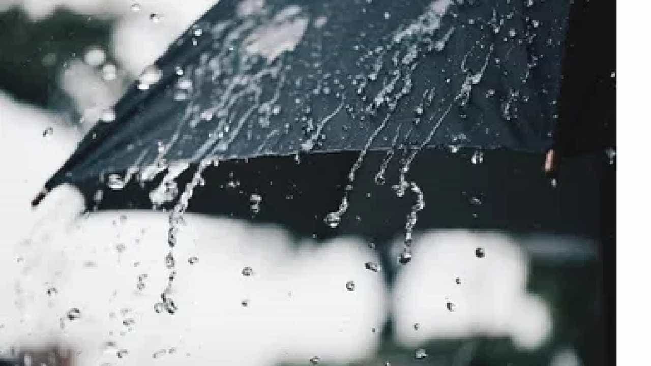 India Weather Updates: ಉತ್ತರಪ್ರದೇಶದಲ್ಲಿ ಮಂಜು, ಪಂಜಾಬ್ನಲ್ಲಿ ಮಳೆ ಸಾಧ್ಯತೆ, ಉತ್ತರ ಭಾರತದಲ್ಲಿ ತಾಪಮಾನ ಮತ್ತೆ ಕುಸಿಯುವ ನಿರೀಕ್ಷೆ India Weather Updates: ಉತ್ತರಪ್ರದೇಶದಲ್ಲಿ ಮಂಜು, ಪಂಜಾಬ್ನಲ್ಲಿ ಮಳೆ ಸಾಧ್ಯತೆ, ಉತ್ತರ ಭಾರತದಲ್ಲಿ ತಾಪಮಾನ ಮತ್ತೆ ಕುಸಿಯುವ ನಿರೀಕ್ಷೆ