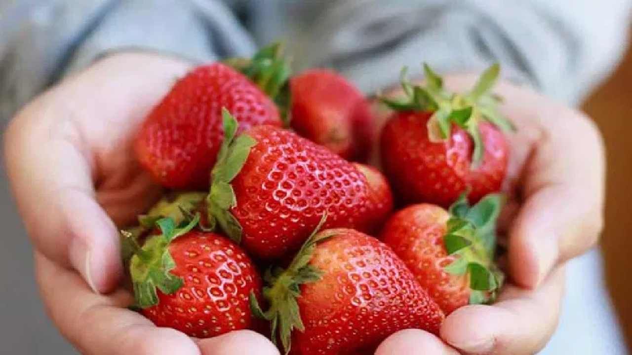 Strawberry Benefits: ಸ್ಟ್ರಾಬೆರಿ ಹೃದಯವನ್ನು ಆರೋಗ್ಯಕರವಾಗಿರಿಸುತ್ತೆ, ಈ 5 ವಿಧಾನಗಳಲ್ಲಿ ಸ್ಟ್ರಾಬೆರಿಯನ್ನು ನಿಮ್ಮ ಆಹಾರದಲ್ಲಿ ಸೇರಿಸಿ