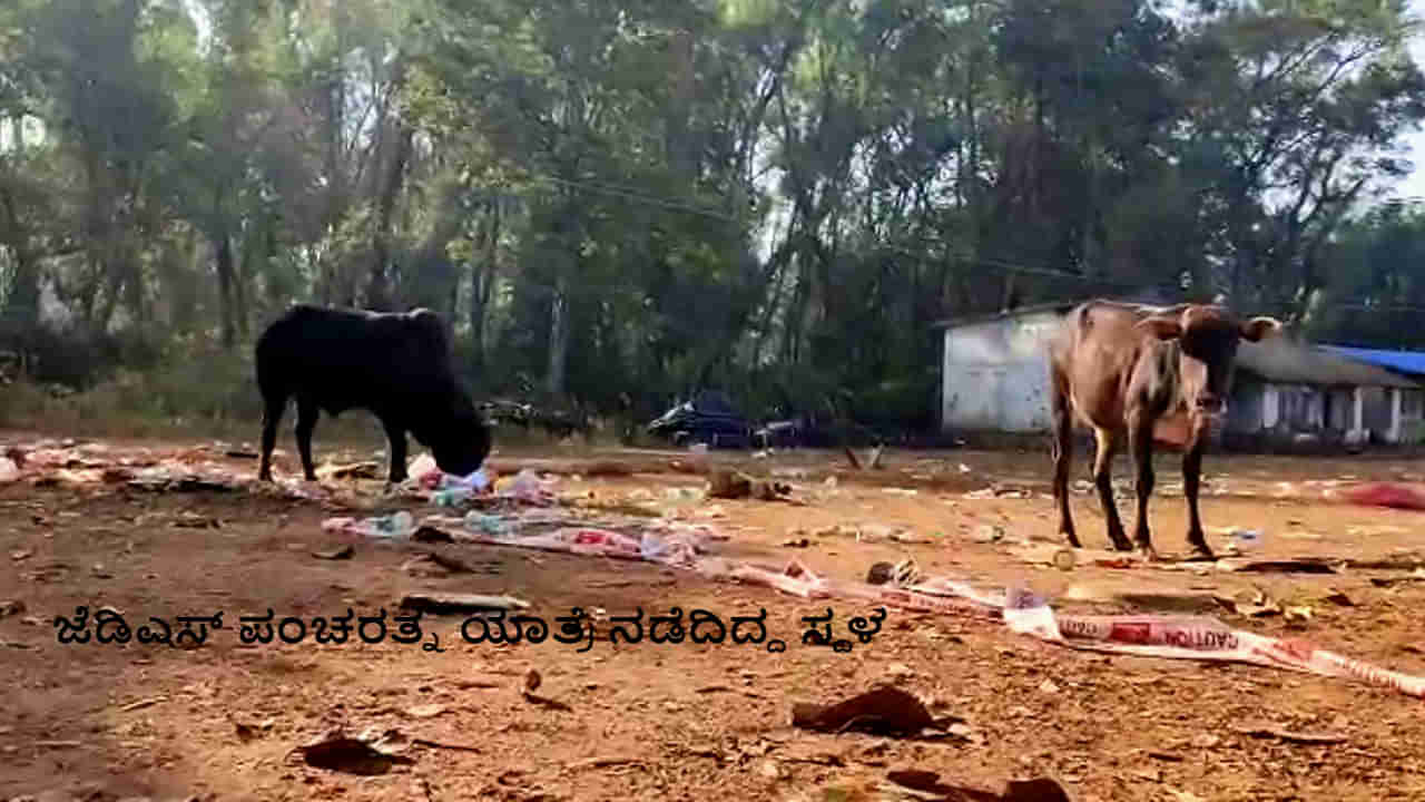 ಶೃಂಗೇರಿ ತಾಲೂಕಿನಲ್ಲಿ ಜೆಡಿಎಸ್ ಪಂಚರತ್ನ ಯಾತ್ರೆ ಬಳಿಕ ಪ್ಲಾಸ್ಟಿಕ್ ಸಮೇತ ಉಳಿದ ಆಹಾರ ತಿಂದು ಎರಡು ಹಸು ಸಾವು!