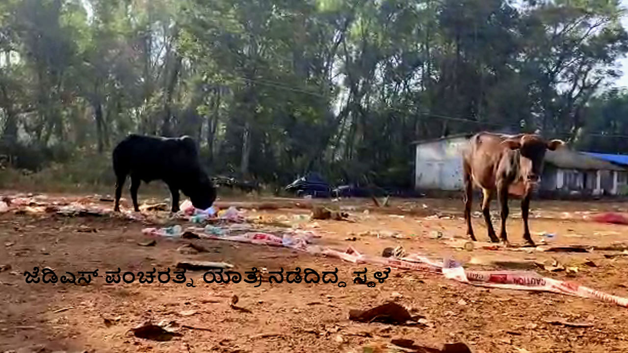 ಶೃಂಗೇರಿ ತಾಲೂಕಿನಲ್ಲಿ ಜೆಡಿಎಸ್ ಪಂಚರತ್ನ ಯಾತ್ರೆ ಬಳಿಕ ಪ್ಲಾಸ್ಟಿಕ್ ಸಮೇತ ಉಳಿದ ಆಹಾರ ತಿಂದು ಎರಡು ಹಸು ಸಾವು! ಶೃಂಗೇರಿ ತಾಲೂಕಿನಲ್ಲಿ ಜೆಡಿಎಸ್ ಪಂಚರತ್ನ ಯಾತ್ರೆ ಬಳಿಕ ಪ್ಲಾಸ್ಟಿಕ್ ಸಮೇತ ಉಳಿದ ಆಹಾರ ತಿಂದು ಎರಡು ಹಸು ಸಾವು!