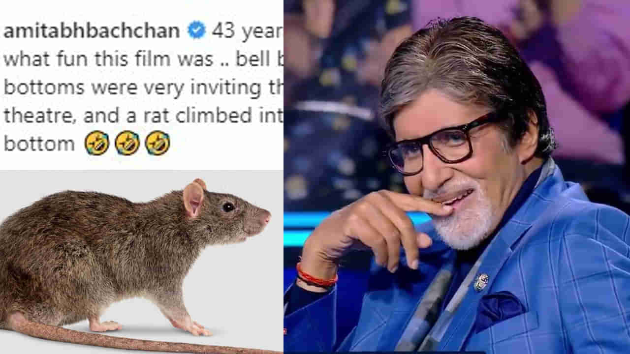 Rat in Pant: ಸಿನಿಮಾ ನೋಡುತ್ತಿರುವಾಗ ಅಮಿತಾಬ್ ಬಚ್ಚನ್ ಪ್ಯಾಂಟ್​ನಲ್ಲಿ ಇಲಿ ನುಗ್ಗಿತ್ತಂತೆ! ಇನ್ಸ್​​ಟಾಗ್ರಾಮ್​ನಲ್ಲಿ ಆತಂಕಕಾರಿ ಮಾಹಿತಿ ಹಂಚಿಕೊಂಡ ಬಿಗ್​ ಬಿ!