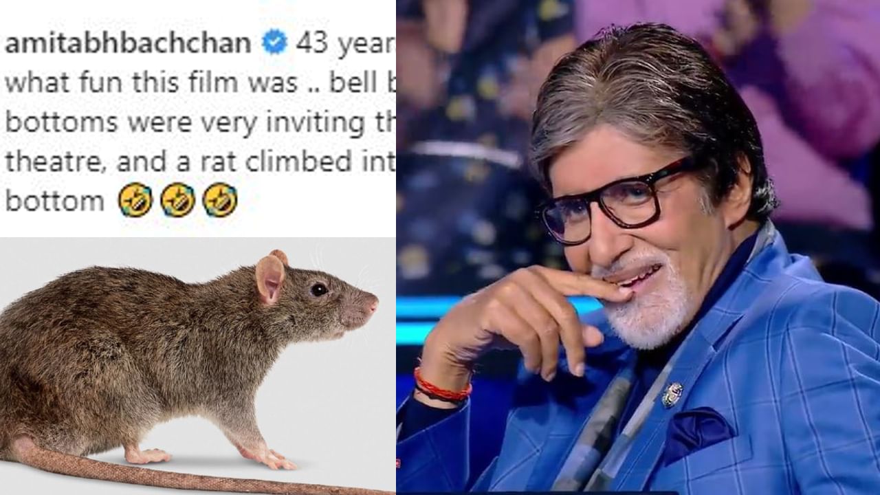 Rat in Pant: ಸಿನಿಮಾ ನೋಡುತ್ತಿರುವಾಗ ಅಮಿತಾಬ್ ಬಚ್ಚನ್ ಪ್ಯಾಂಟ್ನಲ್ಲಿ ಇಲಿ ನುಗ್ಗಿತ್ತಂತೆ! ಇನ್ಸ್ಟಾಗ್ರಾಮ್ನಲ್ಲಿ ಆತಂಕಕಾರಿ ಮಾಹಿತಿ ಹಂಚಿಕೊಂಡ ಬಿಗ್ ಬಿ! Rat in Pant: ಸಿನಿಮಾ ನೋಡುತ್ತಿರುವಾಗ ಅಮಿತಾಬ್ ಬಚ್ಚನ್ ಪ್ಯಾಂಟ್ನಲ್ಲಿ ಇಲಿ ನುಗ್ಗಿತ್ತಂತೆ! ಇನ್ಸ್ಟಾಗ್ರಾಮ್ನಲ್ಲಿ ಆತಂಕಕಾರಿ ಮಾಹಿತಿ ಹಂಚಿಕೊಂಡ ಬಿಗ್ ಬಿ!