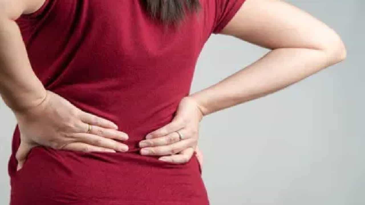 Back Pain: ಬೆಂಬಿಡದೆ ಕಾಡುವ ಬೆನ್ನು ನೋವಿನಿಂದ ಮುಕ್ತಿ ಹೊಂದಲು ಈ 7 ಅಭ್ಯಾಸ ರೂಢಿಸಿಕೊಳ್ಳಿ Back Pain: ಬೆಂಬಿಡದೆ ಕಾಡುವ ಬೆನ್ನು ನೋವಿನಿಂದ ಮುಕ್ತಿ ಹೊಂದಲು ಈ 7 ಅಭ್ಯಾಸ ರೂಢಿಸಿಕೊಳ್ಳಿ