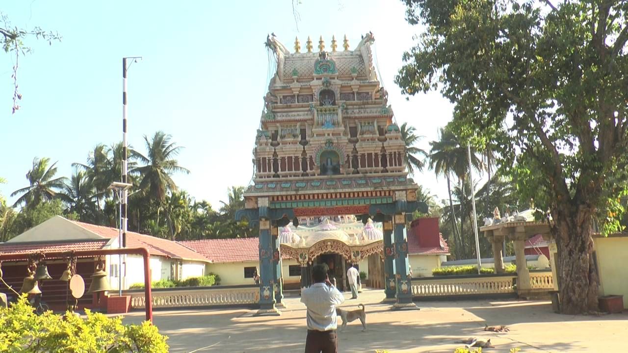 ಒಟ್ಟಾರೆ, ಈ ವನದಲ್ಲಿ ಬಿಲ್ವಪತ್ರೆ ಹೊರತುಪಡಿಸಿ ಬೇರ್ಯಾವ ಮರಗಿಡಗಳಿಲ್ಲ. ಸುಮಾರು ಎರಡೂವರೆ ಎಕ್ರೆ ಪ್ರದೇಶದಲ್ಲಿ ಎಗ್ಗಿಲ್ಲದೆ ಬೆಳೆದಿರೋ ಈ ಮರಗಳು ಭಕ್ತರ ಪಾಲಿಗೆ ಸಾಕ್ಷಾತ್ ಶಿವನ ರೂಪ. ಹತ್ತಾರು ಎಕರೆಯಲ್ಲಿದ್ದ ಬಿಲ್ವಪತ್ರೆ ವನ ಸೂಕ್ತ ನಿರ್ವಹಣೆ ಇಲ್ದೆ ಸೊರಗಿದೆ. 