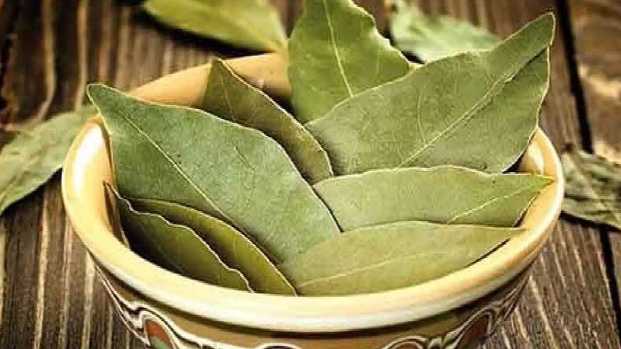 ಇದು ದೇಹದಲ್ಲಿನ ಹಾರ್ಮೋನುಗಳ ಮಟ್ಟವನ್ನು ಕಡಿಮೆ ಮಾಡಲು
ಸಹಾಯ ಮಾಡುತ್ತದೆ. ಈ ಎಲೆಗಳಲ್ಲಿ ವಿಟಮಿನ್ ಎ ಸಮೃದ್ಧವಾಗಿದೆ. ಇದು
ಕಣ್ಣಿನ ದೃಷ್ಟಿ ಮತ್ತು ಚರ್ಮದ ಆರೋಗ್ಯಕ್ಕೆ ಔಷಧಿಯಾಗಿ ಕೆಲಸ ಮಾಡುತ್ತದೆ.
