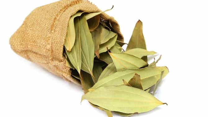 Bay Leaves Benefits: ದಾಲ್ಚಿನ್ನಿ ಎಲೆ ಅಡುಗೆಗೆ ಮಾತ್ರವಲ್ಲ ದೇಹಕ್ಕೂ ನೀಡುತ್ತದೆ ಆರೋಗ್ಯಕಾರಿ ಪ್ರಯೋಜಗಳು