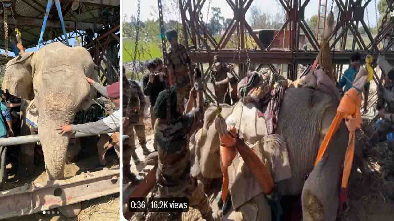 35 ವರ್ಷದ ಆನೆಯ ಜೀವ ಉಳಿಸಲು ಕೈಜೋಡಿಸಿದ ಭಾರತೀಯ ಸೇನೆ; ನೋಡಿ ವಿಡಿಯೋ 35 ವರ್ಷದ ಆನೆಯ ಜೀವ ಉಳಿಸಲು ಕೈಜೋಡಿಸಿದ ಭಾರತೀಯ ಸೇನೆ; ನೋಡಿ ವಿಡಿಯೋ