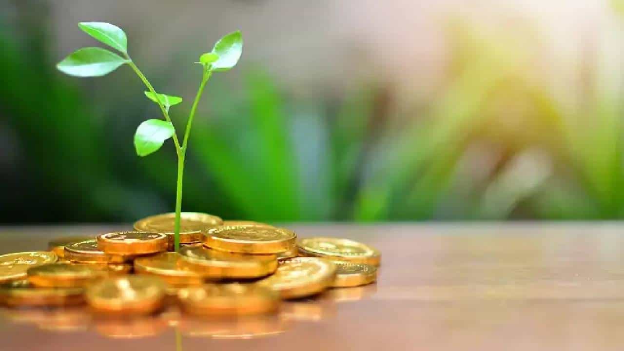 Gold Investment Tips: ಮಹಿಳೆಯರು ತಿಳಿದುಕೊಳ್ಳಲೇಬೇಕಾದ ಗೋಲ್ಡ್ ಬಾಂಡ್ ಇತ್ಯಾದಿ ಚಿನ್ನದ ಹೂಡಿಕೆಗಳು Gold Investment Tips: ಮಹಿಳೆಯರು ತಿಳಿದುಕೊಳ್ಳಲೇಬೇಕಾದ ಗೋಲ್ಡ್ ಬಾಂಡ್ ಇತ್ಯಾದಿ ಚಿನ್ನದ ಹೂಡಿಕೆಗಳು