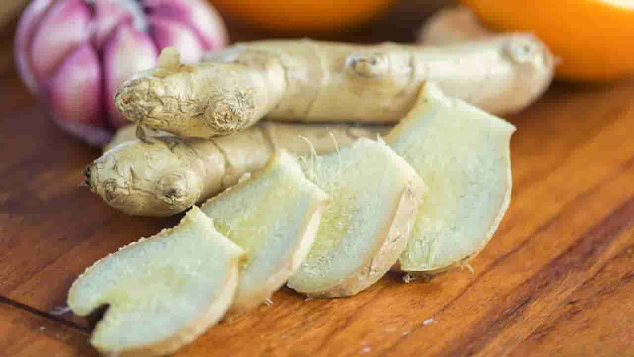 Health Tips: ಸಂಧಿವಾತದಿಂದ ಪಾರಾಗಲು ಈ 5 ಗಿಡಮೂಲಿಕೆಗಳನ್ನು ಬಳಸಿ